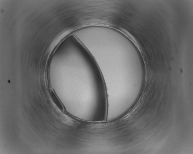X0000070181293200605260930
