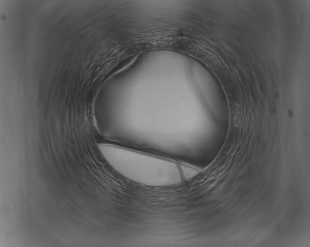 X0000070181298200605260930