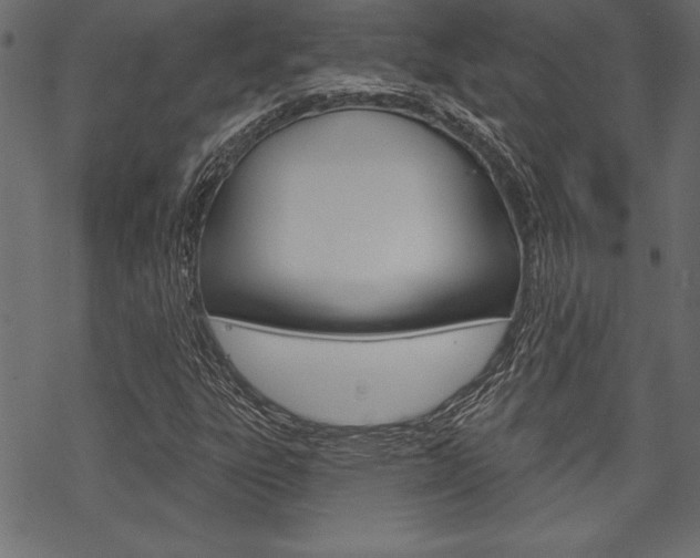 X0000070181303200605260930