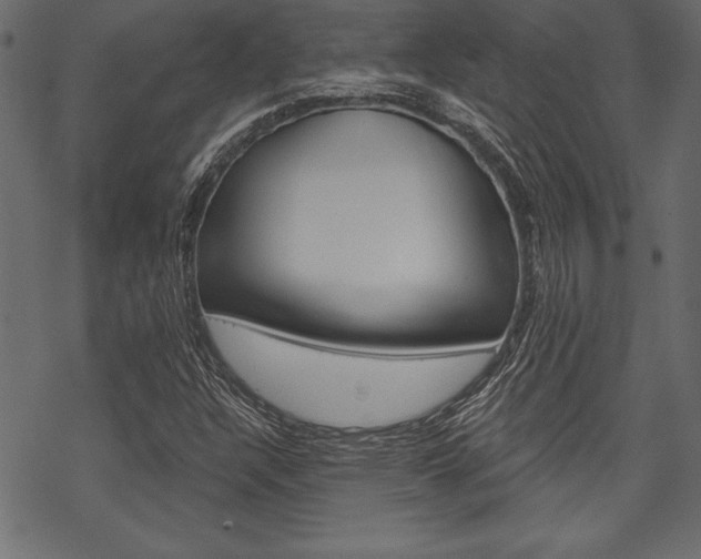X0000070181304200605260930