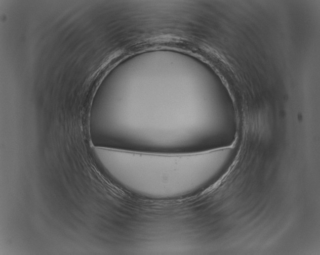 X0000070181305200605260930