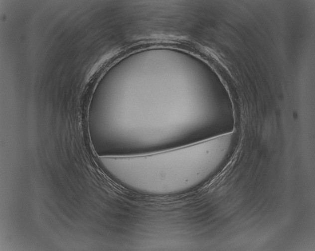 X0000070181307200605260930