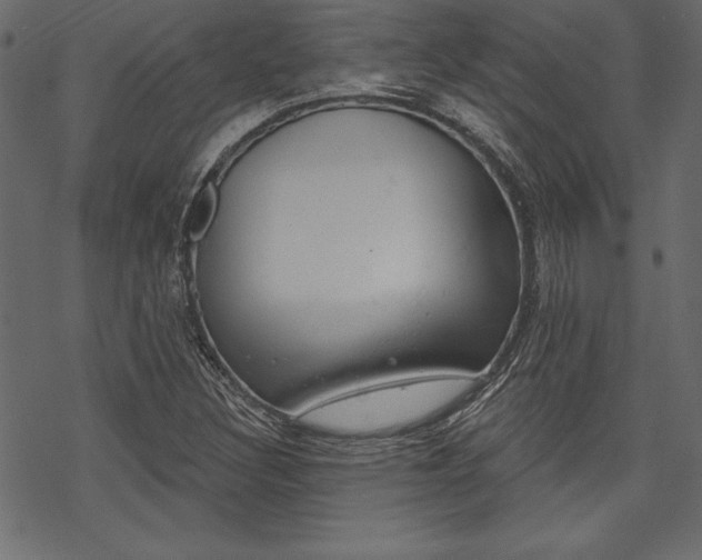 X0000070181308200605260930