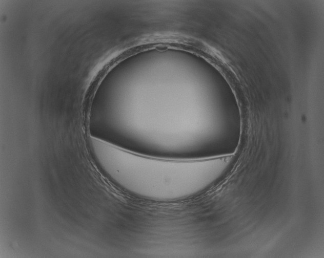 X0000070181312200605260930