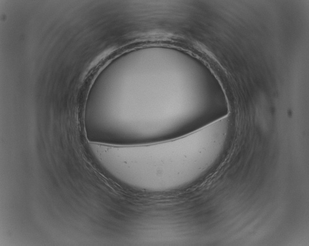 X0000070181315200605260930