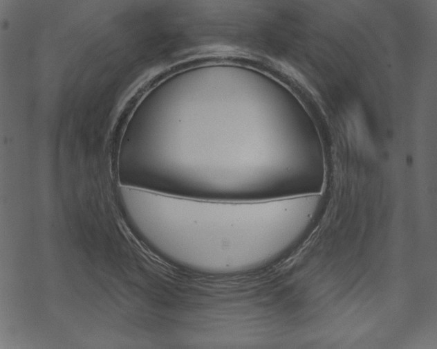 X0000070181318200605260930