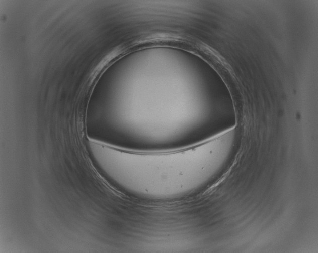 X0000070181321200605260930