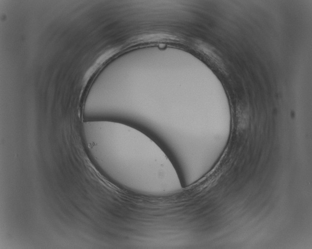 X0000070181322200605260930