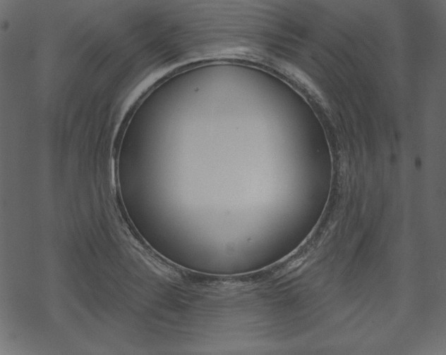 X0000070181324200605260930