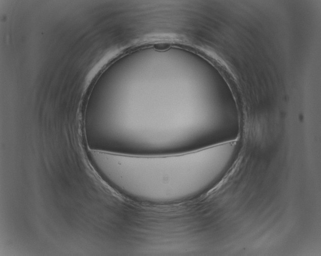 X0000070181325200605260930