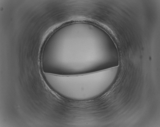 X0000070181327200605260930