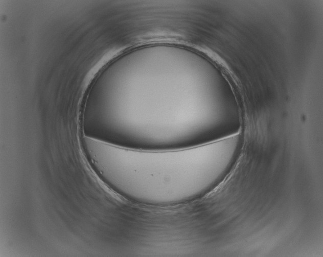 X0000070181333200605260930