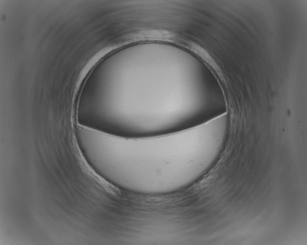 X0000070181339200605260930