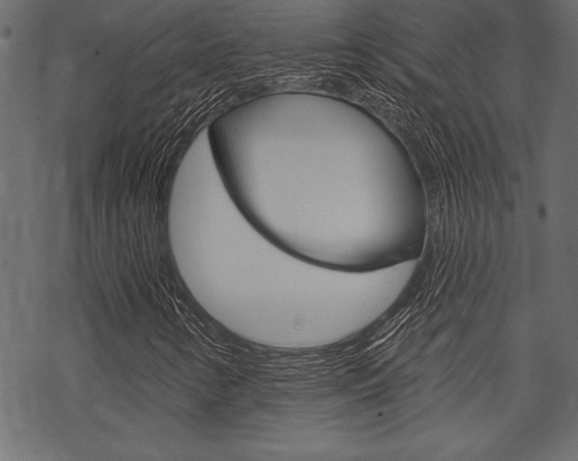 X0000070181346200605260930