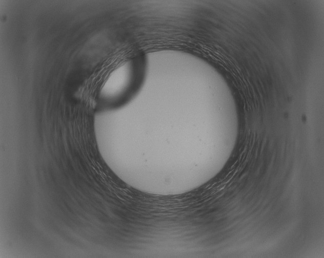 X0000070181347200605260930