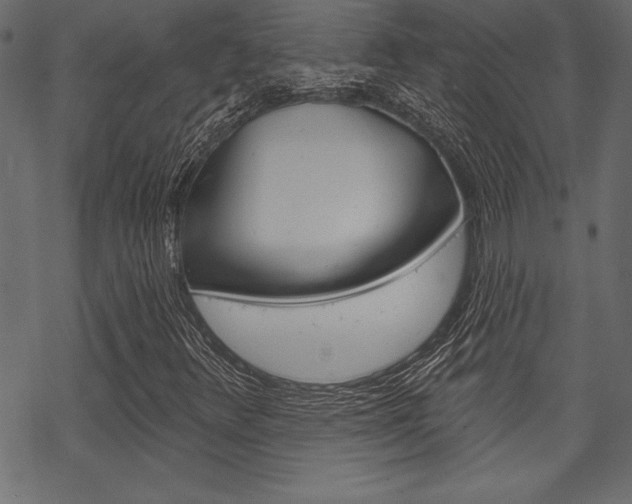 X0000070181348200605260930
