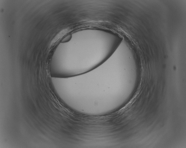 X0000070181354200605260929