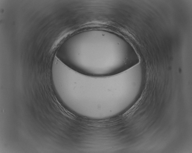 X0000070181355200605260929