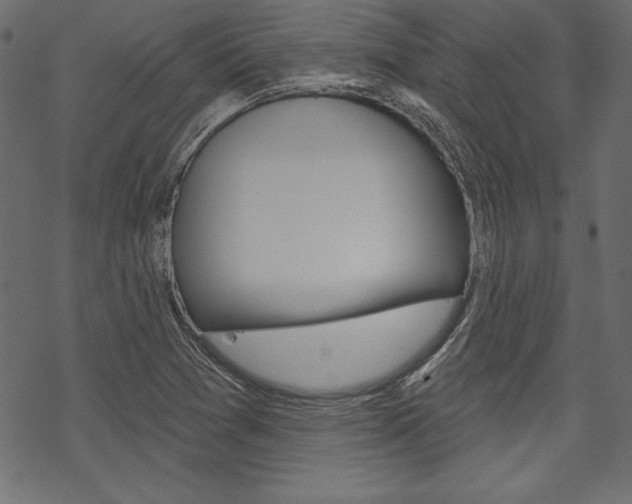 X0000070181361200605260929
