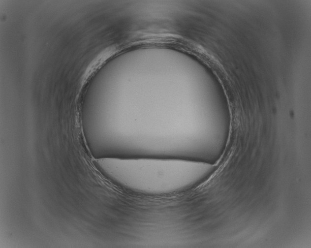 X0000070181362200605260929