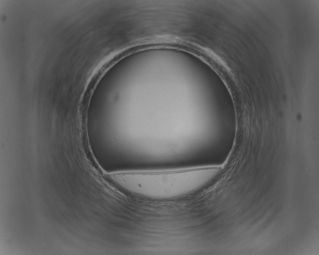 X0000070181364200605260929