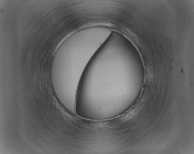 X0000070181369200605260929
