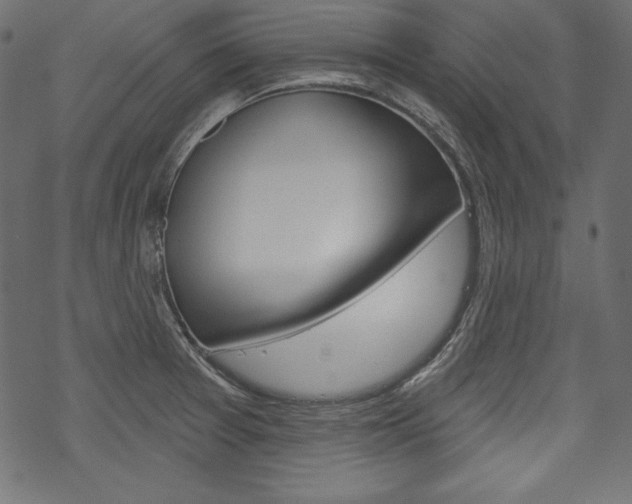 X0000070181377200605260929