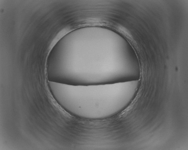 X0000070181378200605260929