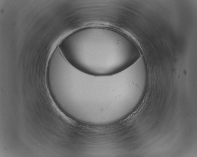 X0000070181379200605260929