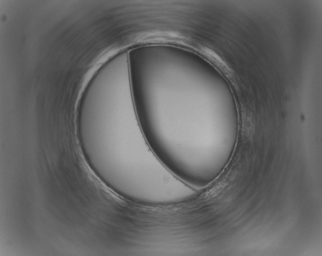 X0000070181384200605260929