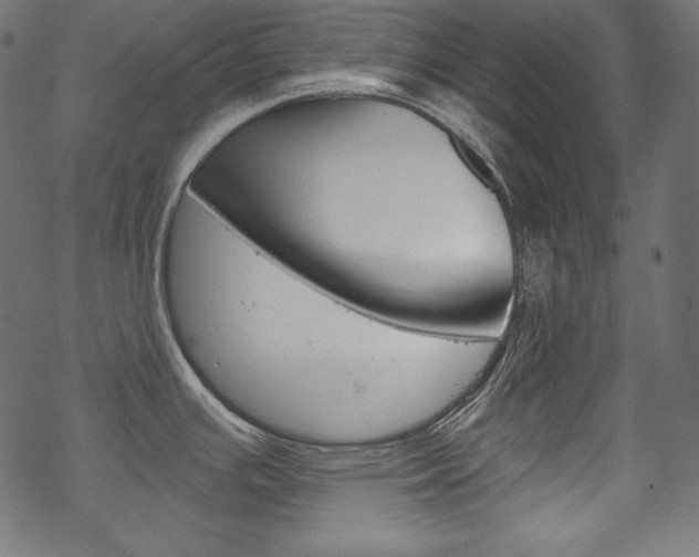 X0000070181391200605260929