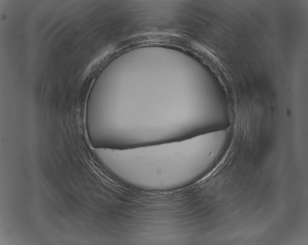 X0000070181403200605260928