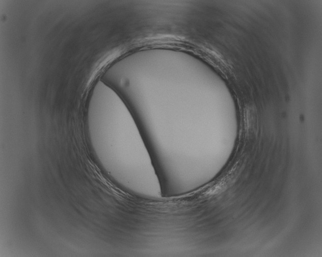 X0000070181405200605260928