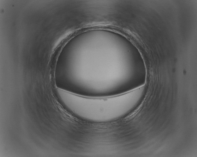 X0000070181406200605260928