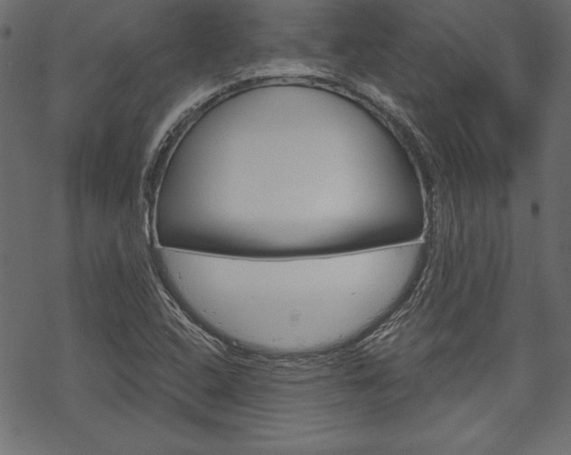 X0000070181408200605260928