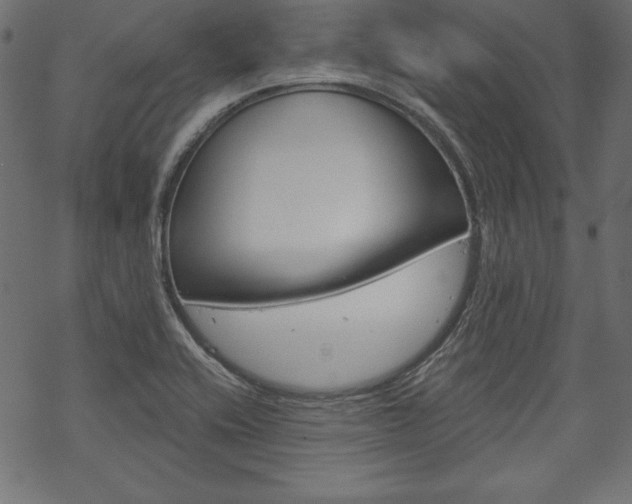 X0000070181416200605260928