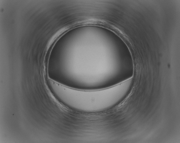 X0000070181418200605260928