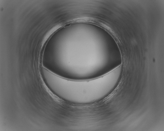X0000070181426200605260929