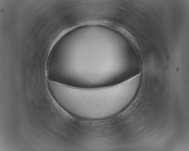 X0000070181428200605260929