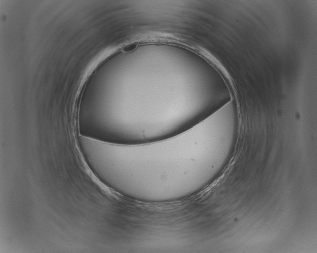 X0000070181437200605260929