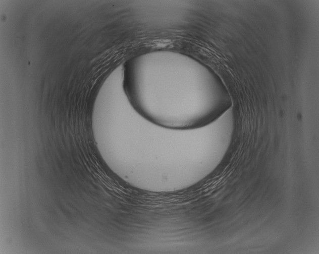 X0000070181442200605260928