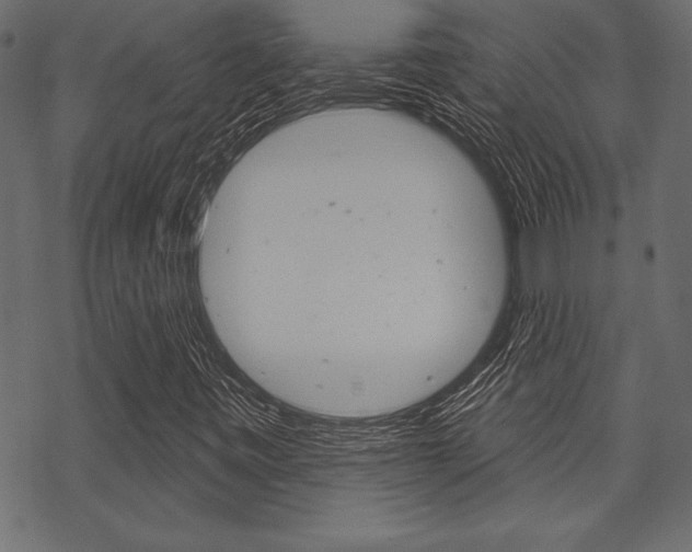 X0000070181443200605260928