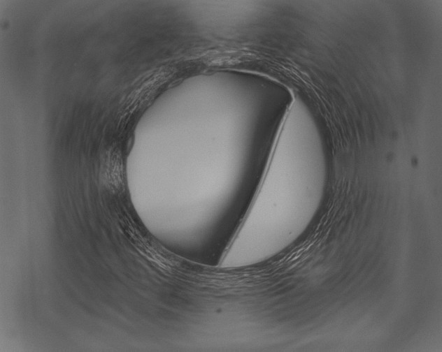 X0000070181444200605260928