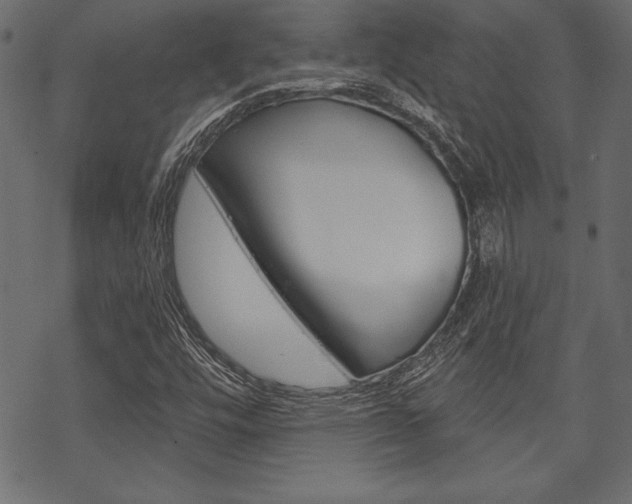 X0000070181448200605260928