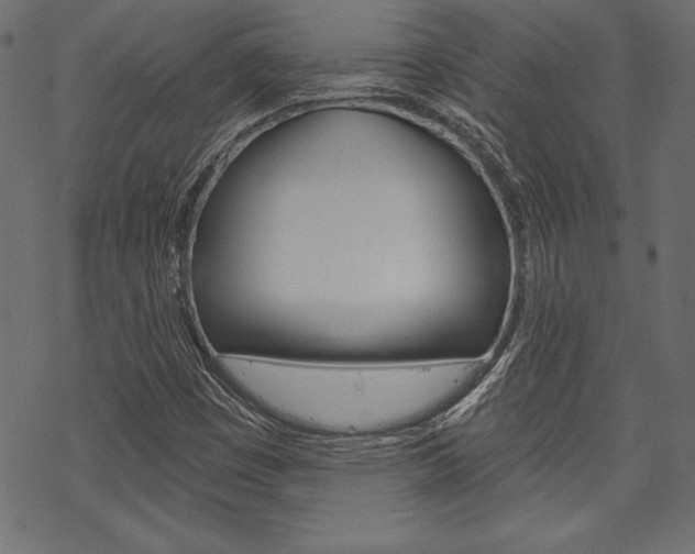 X0000070181449200605260928