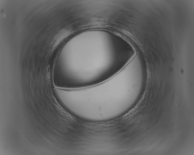 X0000070181450200605260928