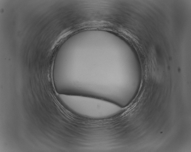 X0000070181451200605260928