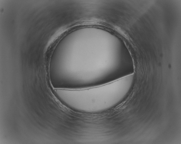 X0000070181456200605260928