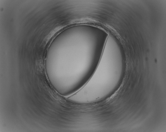 X0000070181457200605260928