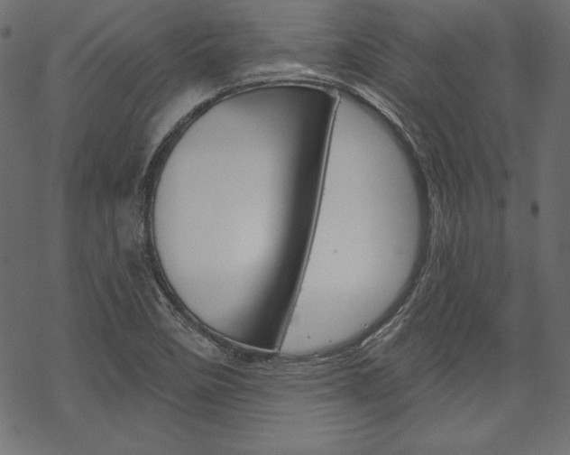 X0000070181458200605260928